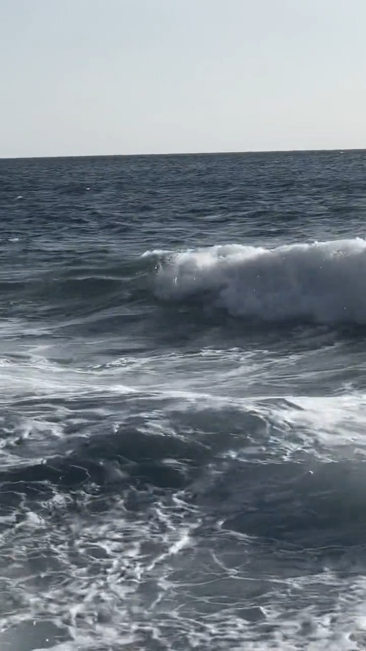 Ical Capcut Templates