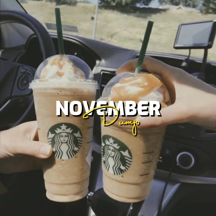 novemberdump