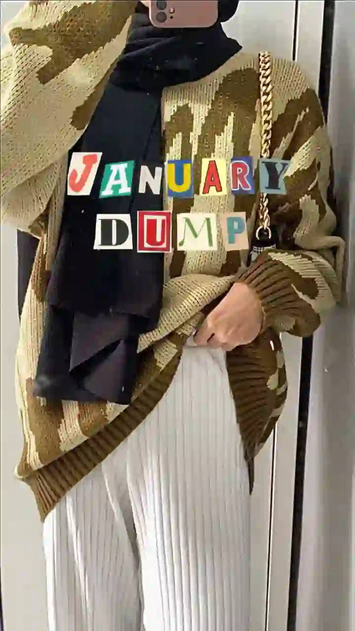 January dump 2023 - January Dump CapCut Templates CapCut Template