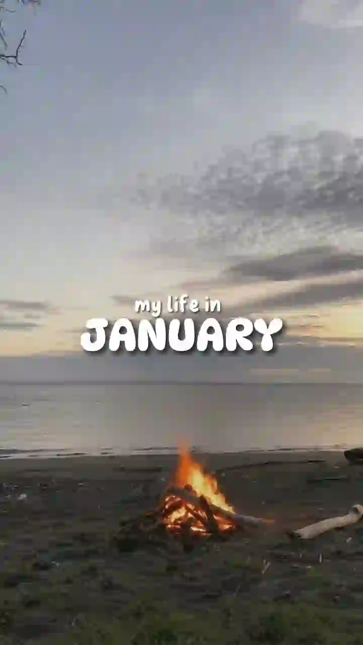 my life in JANUARY - January Dump CapCut Templates CapCut Template