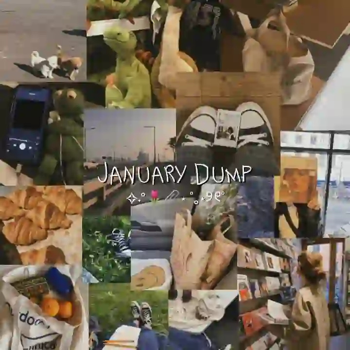 Dump collage - January Dump CapCut Templates CapCut Template