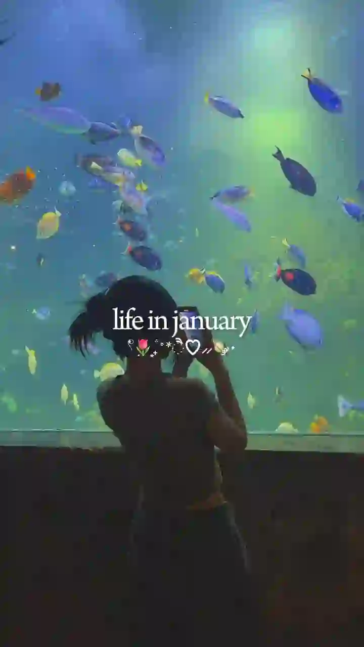 life in january 2025