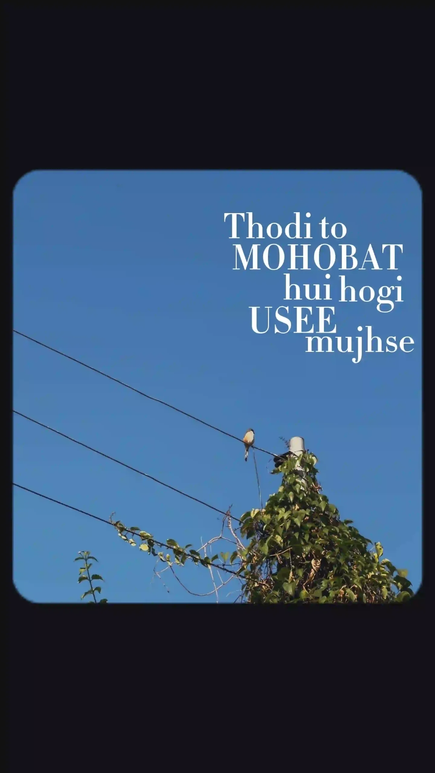 Thodi toh mohabat - hindi song capcut template CapCut Template