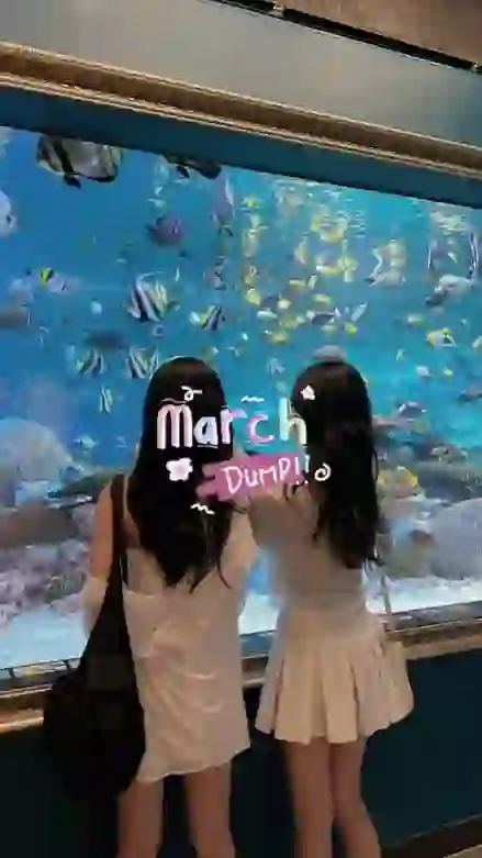 march dump~ - March Dump CapCut Templates CapCut Template