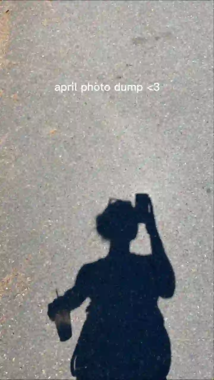 April photo dump - April Dump CapCut Templates CapCut Template