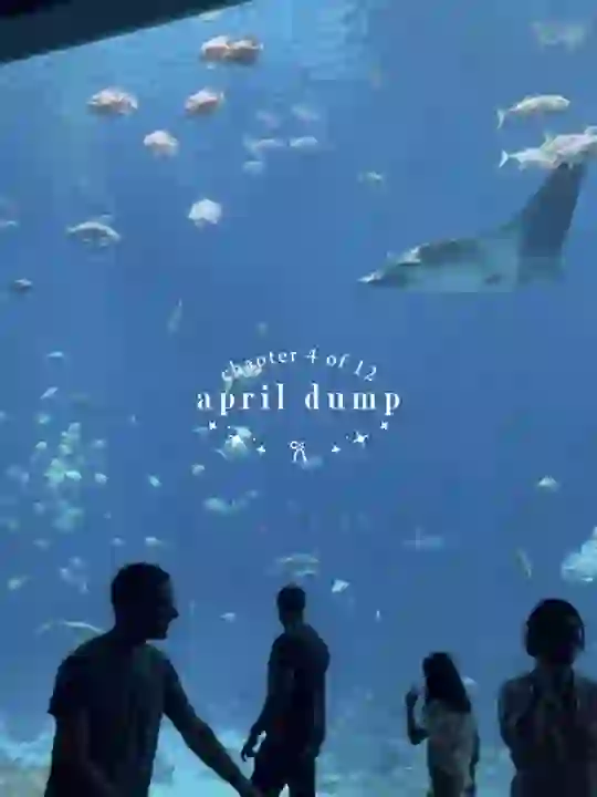 april dump aesthetic - April Dump s CapCut Template