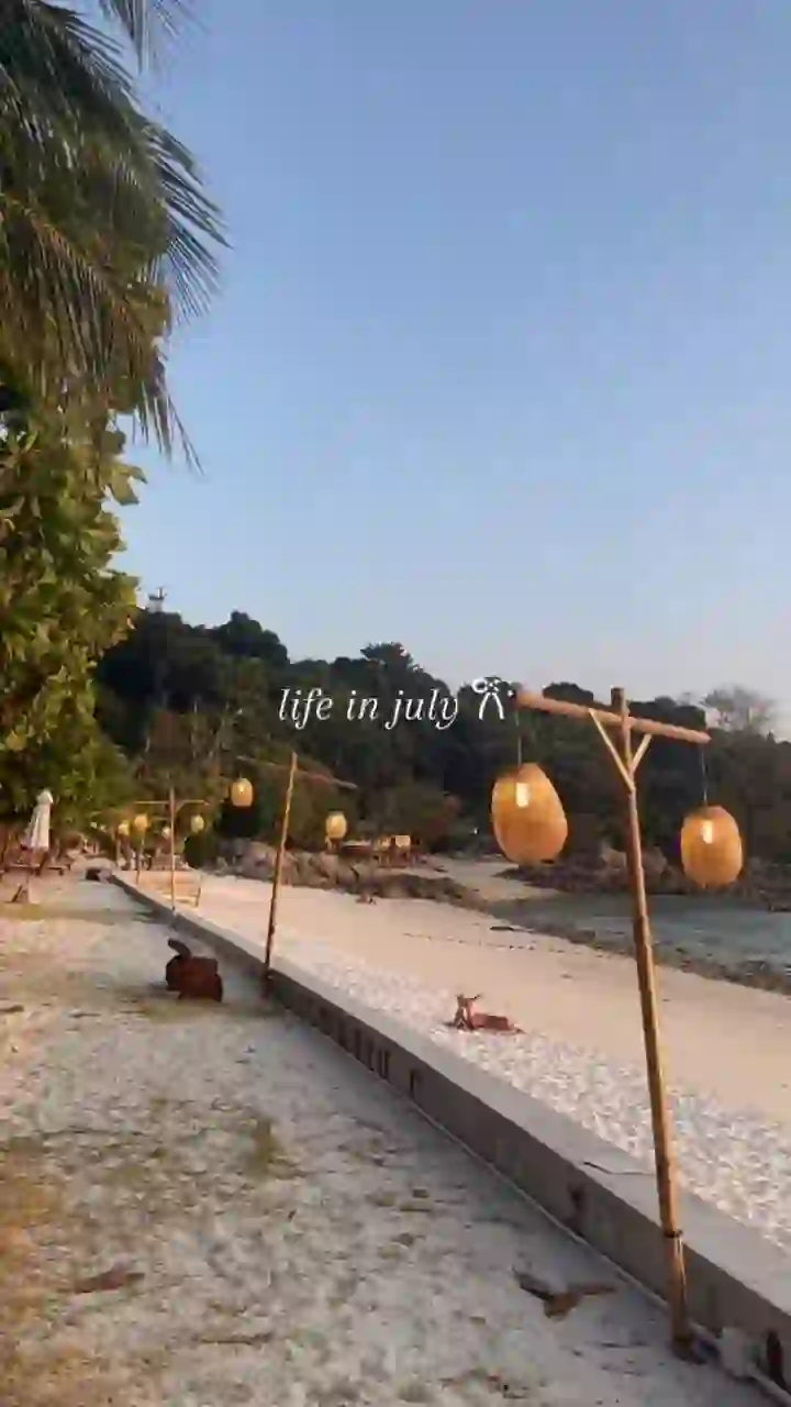 life in july - July Dump CapCut Templates CapCut Template