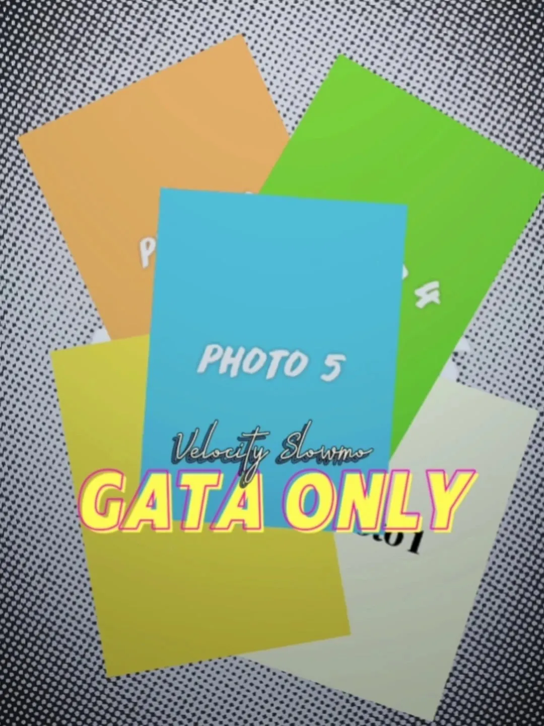 Gata only CapCut Templates