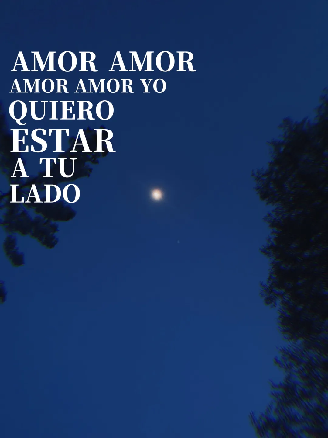 amor capcut templates